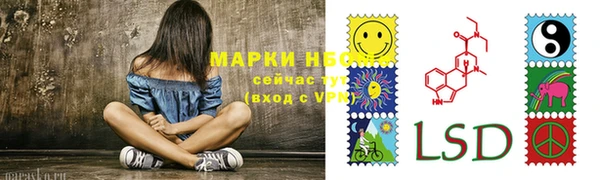 дмт Белокуриха