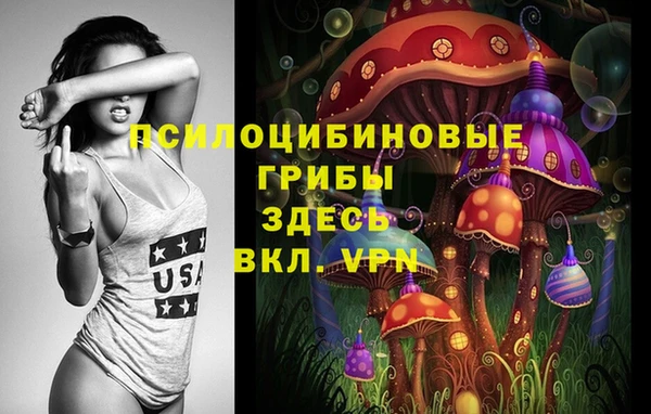 индика Белоозёрский