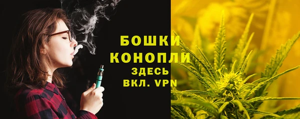 дмт Белокуриха