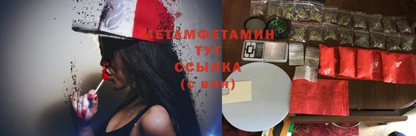 индика Белоозёрский