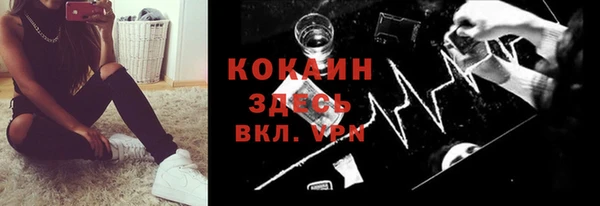 индика Белоозёрский
