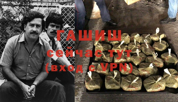 индика Белоозёрский