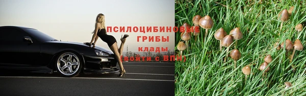 гидропоника Беломорск