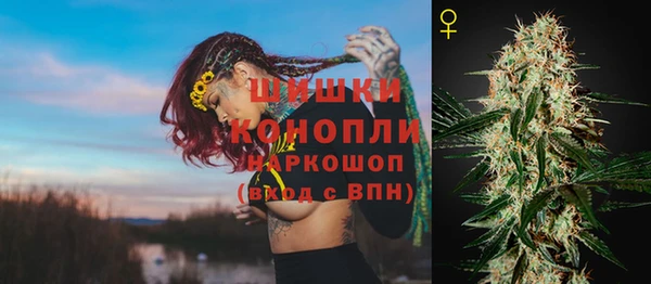 дмт Белокуриха