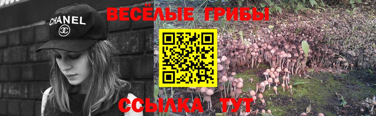 Псилоцибиновые грибы мицелий  Верхний Уфалей  Галлюциногенные грибы ЛСД 