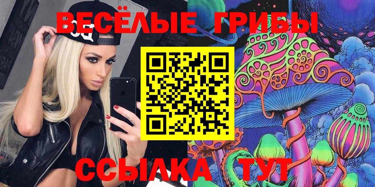 хочу наркоту  Псилоцибиновые грибы мухоморы  Галлюциногенные грибы ЛСД  Вход с VPN  Верхний Уфалей 