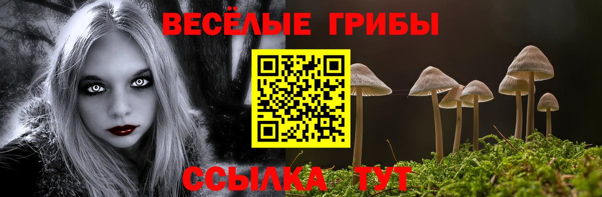 Галлюциногенные грибы Psilocybine cubensis Верхний Уфалей